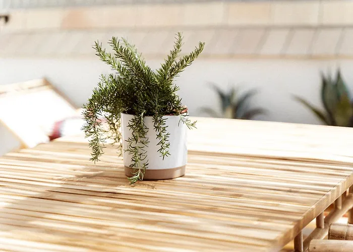 Loft Alguer II Con Terraza, Barbacoa Y Chimenea